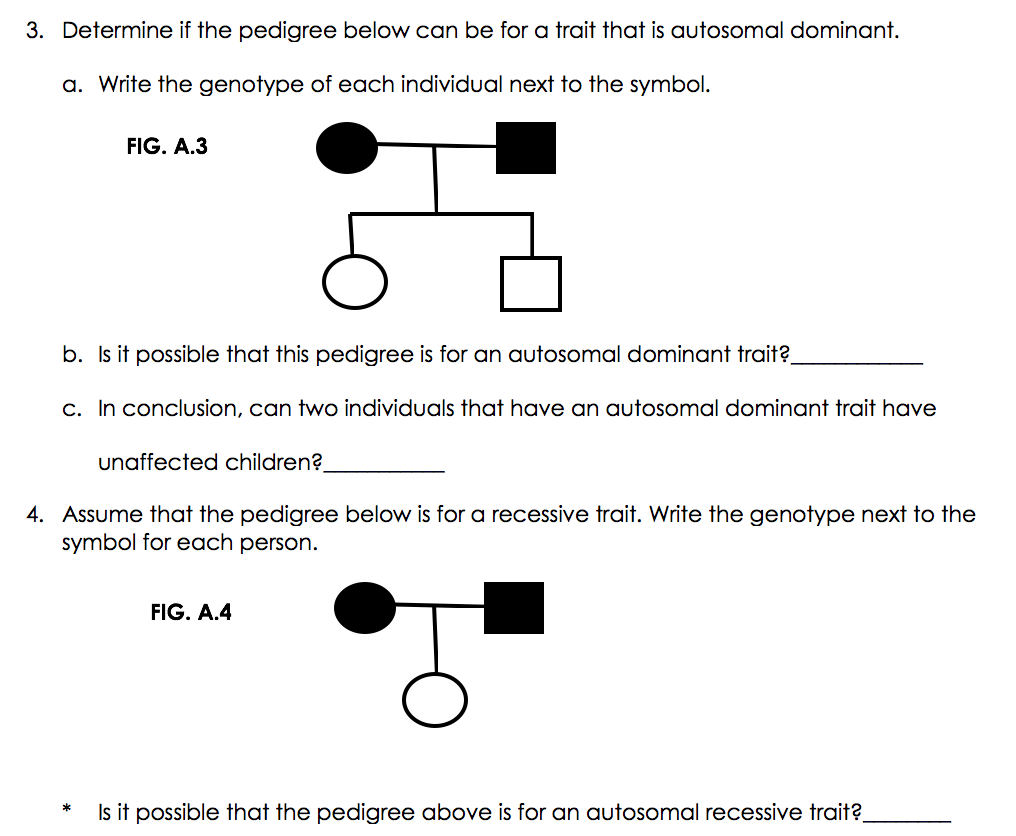 3. Determine if the pedigree below can be for a trait that is autosomal dominant.
a. Write the genotype of each individual next to the symbol.
FIG. A.3
b. Is it possible that this pedigree is for an autosomal dominant trait?
c. In conclusion, can two individuals that have an autosomal dominant trait have
unaffected children?
4. Assume that the pedigree below is for a recessive trait. Write the genotype next to the
symbol for each person.
FIG. A.4
Is it possible that the pedigree above is for an autosomal recessive trait?
