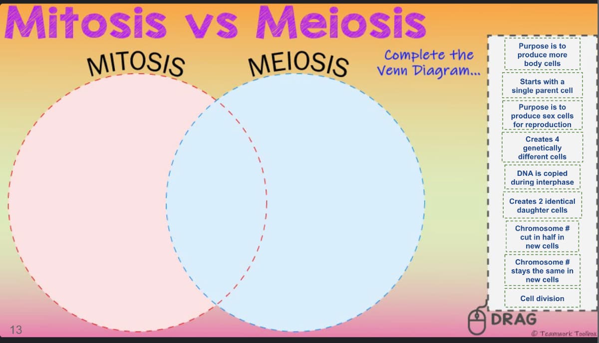 Mitosis vs Meiosis
MITOSIS
MEIOSIS
Complete the
Venn Diagram.
Purpose is to
produce more
body cells
Starts with a
single parent cell
Purpose is to
produce sex cells
for reproduction
Creates 4
genetically
different cells
DNA is copied
during interphase
Creates 2 identical
daughter cells
Chromosome #
cut in half in
new cells
Chromosome #
stays the same in
new cells
Cell division
DRAG
13
O Teamwork Toolbox
