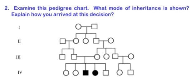 2. Examine this pedigree chart. What mode of inheritance is shown?
Explain how you arrived at this decision?
II
III
IV
