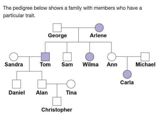 The pedigree below shows a family with members who have a
particular trait.
George
Arlene
Sandra
Tom
Sam
Wilma Ann
Michael
Carla
Daniel
Alan
Tina
Christopher

