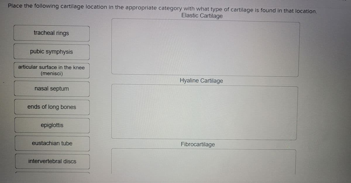 Place the following cartilage location in the appropriate category with what type of cartilage is found in that location.
Elastic Cartilage
tracheal rings
pubic symphysis
articular surface in the knee
(menisci)
Hyaline Cartilage
nasal septum
ends of long bones
epiglottis
eustachian tube
Fibrocartilage
intervertebral discs
