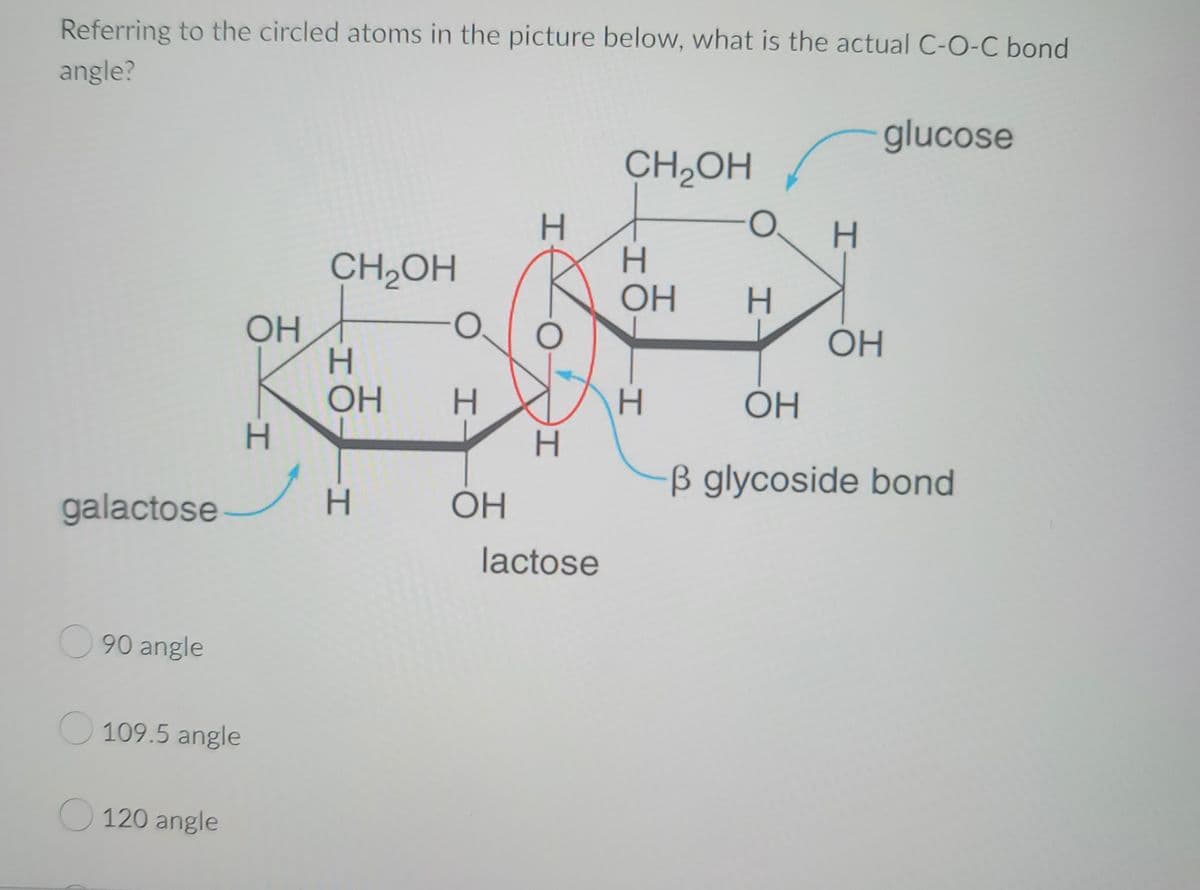 Referring to the circled atoms in the picture below, what is the actual C-O-C bond
angle?
galactose
90 angle
109.5 angle
120 angle
ОН
H
CH₂OH
H
OH H
H
OH
H
H
lactose
CH₂OH
H
ОН
H
-0.
H
H
ОН
glucose
OH
B glycoside bond