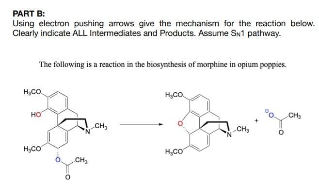 PART B:
Using electron pushing arrows give the mechanism for the reaction below.
Clearly indicate ALL Intermediates and Products. Assume SN1 pathway.
The following is a reaction in the biosynthesis of morphine in opium poppies.
H3CO
H₂CO
HO
CH3
S
-CH3
CH3
H₂CO
CH3
H₂CO