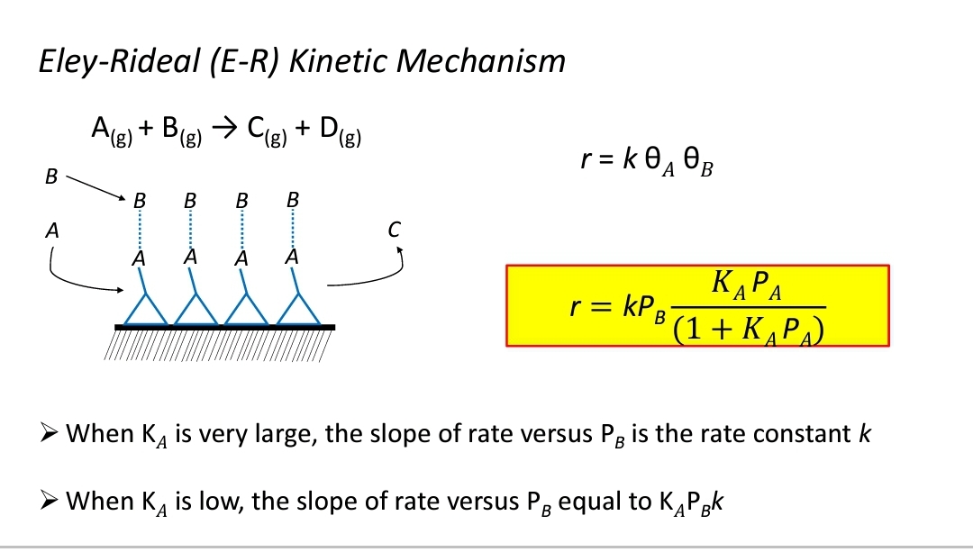 Eley-Rideal (E-R) Kinetic Mechanism
A(g) + B(g) → C(g) + D(g)
B
A
B B B B
C
r= k0₁0B
A
r =
KAPA
(1 + KAPA)
- крв'
➤When K is very large, the slope of rate versus PB is the rate constant k
➤When K is low, the slope of rate versus PB equal to KAPBK
A