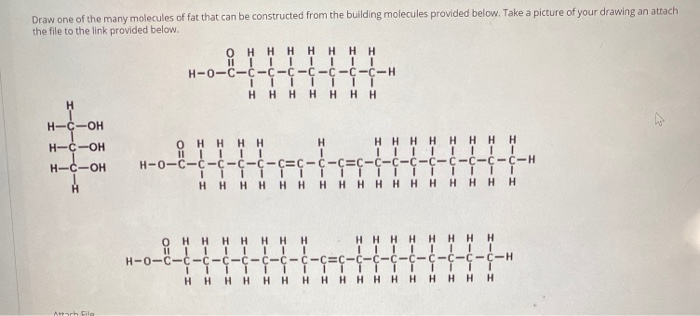 Draw one of the many molecules of fat that can be constructed from the building molecules provided below. Take a picture of your drawing an attach
the file to the link provided below.
OHHH HHHH
H-0-C-C-C-C-Ç-C-C-C-H
HHHHHH H
H-C-OH
HHHH HHHH
IIII IIII
H-0-C-C-C-C-C-C=C-C-C=C-C-C-C-C-C-C-C-C-H
H-C-OH
OHHHH
H-C-OH
HHHHHHHHHHHHHHHHH
HHHH HHHH
IIII IIII
:-C-C=Ç-C-C-C-C-C-C-C-C-H
OHHH HHHH
H-0-C-C-Ç-C-
HHH
H H
HHHH HHHH HH
Artach Filo

