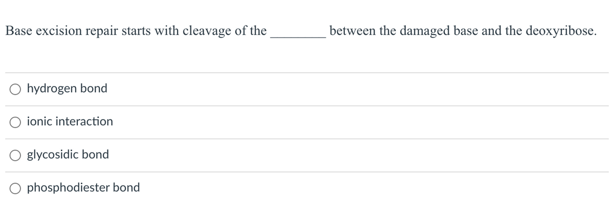Base excision repair starts with cleavage of the
between the damaged base and the deoxyribose.
O hydrogen bond
ionic interaction
O glycosidic bond
O phosphodiester bond
