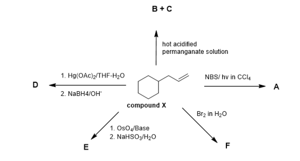 В + с
hot acidified
permanganate solution
1. Hg(OAc)2/THF-H20
NBS/ hv in CCI4
2. NABH4/OH
compound X
Вrz in H2O
1. OsO4/Base
2. NaHSOz/H20
E
F
