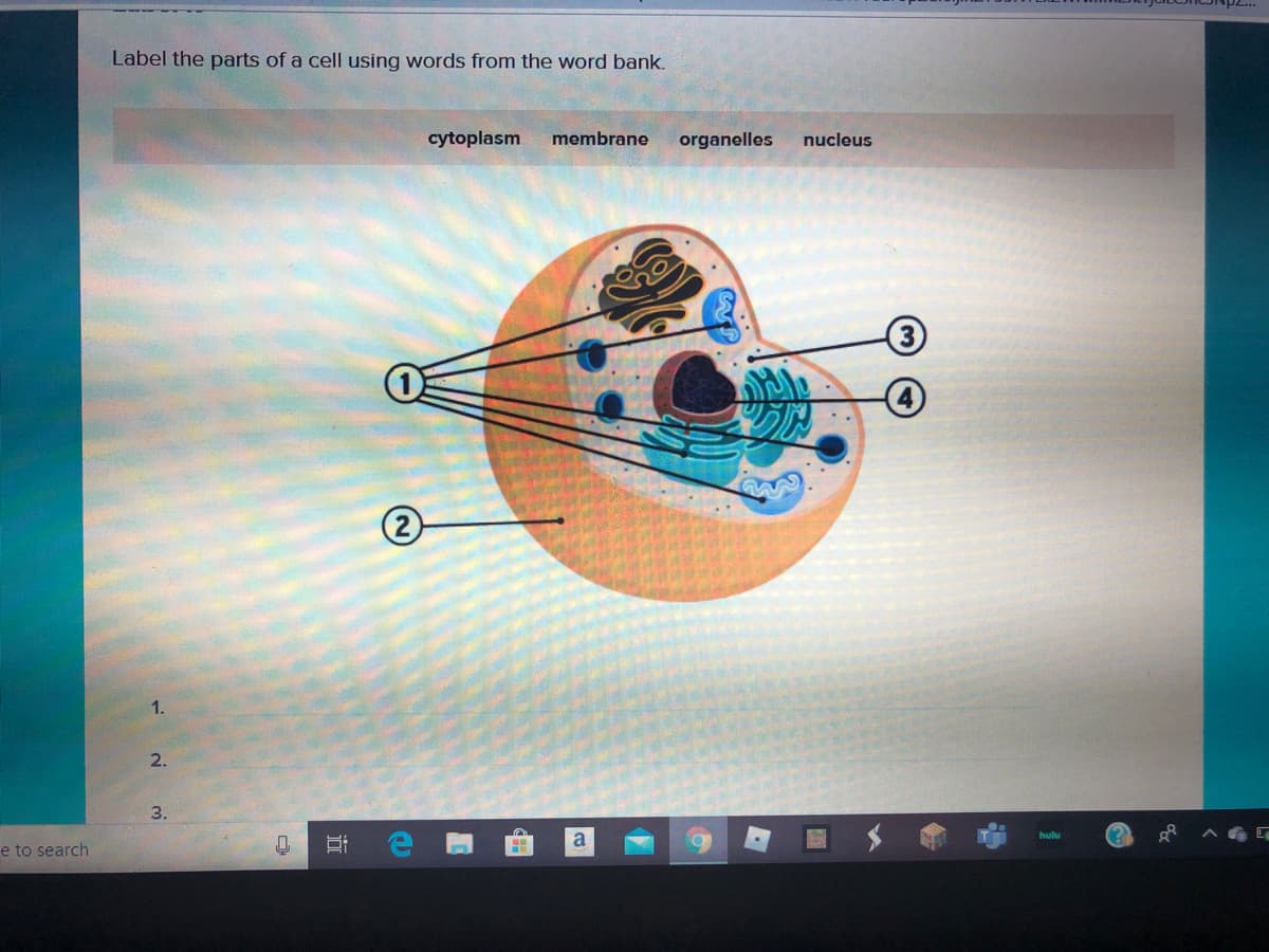 Label the parts of a cell using words from the word bank.
cytoplasm
membrane
organelles
nucleus
1.
2.
3.
e to search
a
