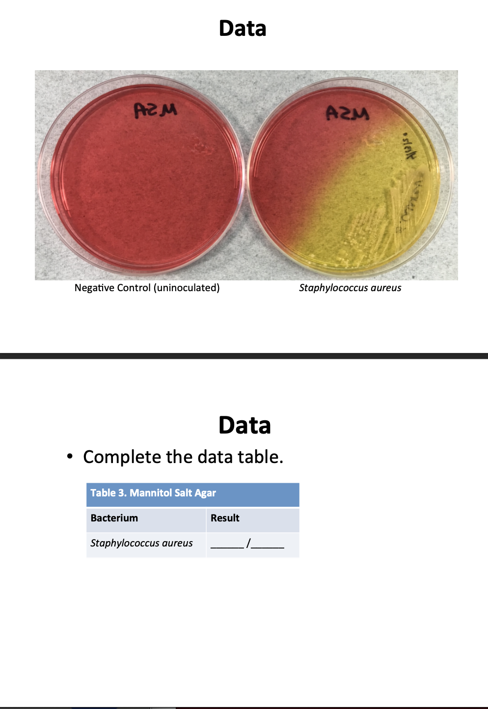 Data
AZM
Negative Control (uninoculated)
Staphylococcus aureus
Data
Complete the data table.
Table 3. Mannitol Salt Agar
Bacterium
Result
Staphylococcus aureus
•slelt
