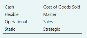 Cash
Cost of Goods Sold
Flexible
Master
Operational
Sales
Static
Strategic
