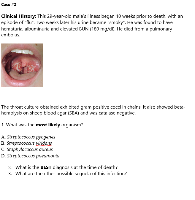 Case #2
Clinical History: This 29-year-old male's illness began 10 weeks prior to death, with an
episode of "flu". Two weeks later his urine became "smoky". He was found to have
hematuria, albuminuria and elevated BUN (180 mg/dl). He died from a pulmonary
embolus.
The throat culture obtained exhibited gram positive cocci in chains. It also showed beta-
hemolysis on sheep blood agar (SBA) and was catalase negative.
1. What was the most likely organism?
A. Streptococcus pyogenes
B. Streptococcus viridans
C. Staphylococcus aureus
D. Streptococcus pneumonia
2. What is the BEST diagnosis at the time of death?
3. What are the other possible sequela of this infection?