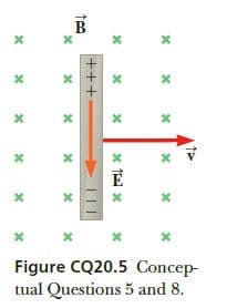 Figure CQ20.5 Concep-
tual Questions 5 and 8.
+++
