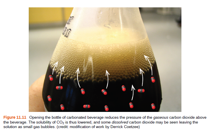Figure 11.11 Opening the bottle of carbonated beverage reduces the pressure of the gaseous carbon dioxide above
the beverage. The solubility of CO2 is thus lowered, and some dissolved carbon dioxide may be seen leaving the
solution as small gas bubbles. (credit: modification of work by Derrick Coetzee)
