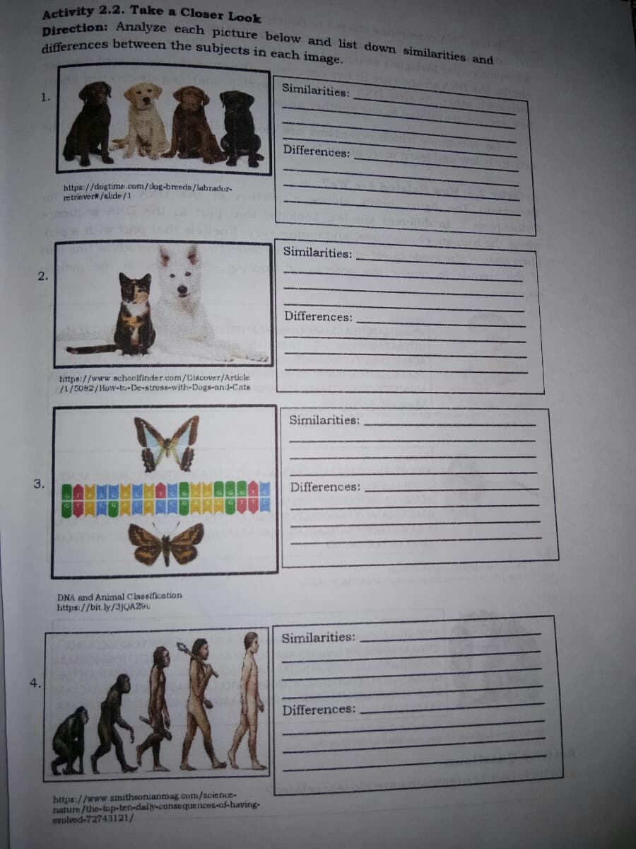 differences between the subjects in each image.
Activity 2.2. Take a Closer Look
Direction: Analyze each picture below and list down similarities and
Similarities:
1.
Differences:
https://dogtime.com/dog-breeds/labrador-
retrieverw /alide /1
Similarities:
2.
Differences:
https://www schoolfinder.com/Discover/Article
/1/5082/How-tu-De-strese-with-Dogs-nnd-Cats
Similarities:
3.
Differences:
DNA and Animal Classification
https://bit ly/3JQAZ
Similarities:
Differences:
https://www.smithsonianmag.com/science-
nature /the-top-ten-daily-consequences-of-having-
evolved-72743121/
