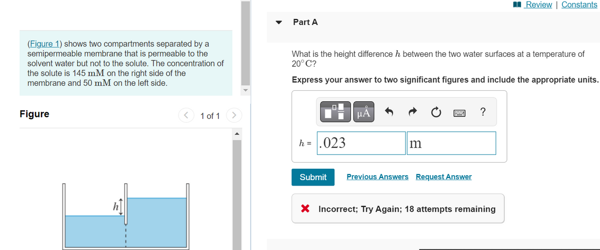 (Figure 1) shows two compartments separated by a
semipermeable membrane that is permeable to the
solvent water but not to the solute. The concentration of
the solute is 145 mM on the right side of the
membrane and 50 mM on the left side.
Figure
1 of 1
Part A
What is the height difference h between the two water surfaces at a temperature of
20°C?
Express your answer to two significant figures and include the appropriate units.
0
h = .023
μA
m
Submit Previous Answers Request Answer
?
Review | Constants
X Incorrect; Try Again; 18 attempts remaining