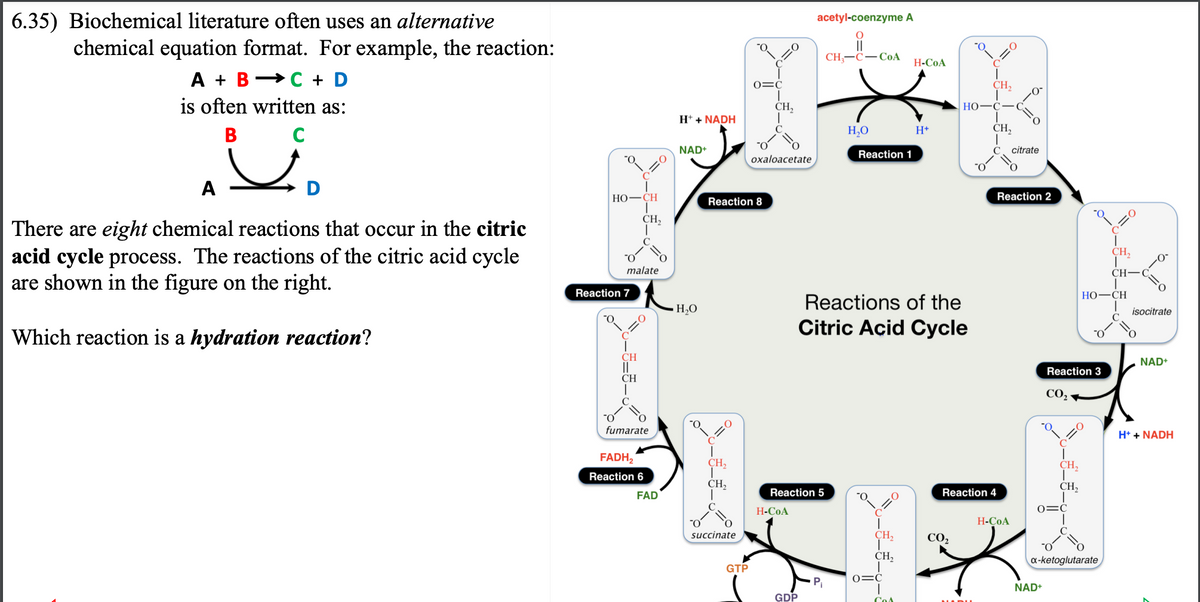 6.35) Biochemical literature often uses an alternative
chemical equation format. For example, the reaction:
A B C + D
is often written as:
B
A
There are eight chemical reactions that occur in the citric
acid cycle process. The reactions of the citric acid cycle
are shown in the figure on the right.
Which reaction is a hydration reaction?
D
*O₂
HO–CH
(=O
Reaction 7
malate
CH
||
CH
CH,
大
fumarate
FADH₂
Reaction 6
FAD
H+ + NADH
NAD+
H₂O
CH₂
CH₂
succinate
"O
Reaction 8
GTP
0=C
CH₂
oxaloacetate
H-COA
acetyl-coenzyme A
O
||
CH₂-C-CoA
Reaction 5
GDP
H₂O
Reaction 1
"O
Reactions of the
Citric Acid Cycle
C
:0
CH₂
CH₂
O=C
P₁
H-COA
Cos
H+
HO
CO₂
Reaction 4
JADU
=0
CH₂
CH₂
O
H-COA
citrate
Reaction 2
Reaction 3
CO₂
CH₂
CH₂
O=C
NAD+
HO–CH
x-ketoglutarate
CH,
T
CH
O
isocitrate
NAD+
H+ + NADH