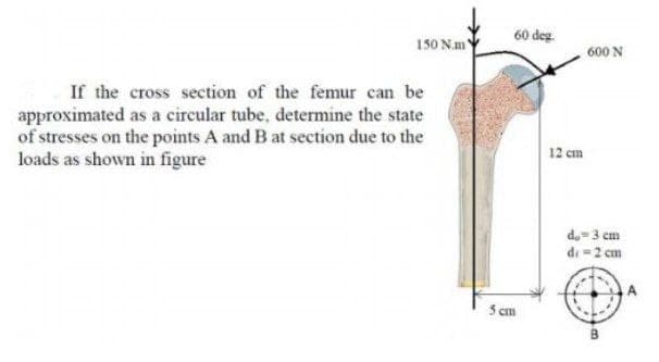 60 deg
150 N.m
600 N
If the cross section of the femur can be
approximated as a circular tube, determine the state
of stresses on the points A and B at section due to the
loads as shown in figure
12 cm
de-3 cm
di =2 cm
5 cm
