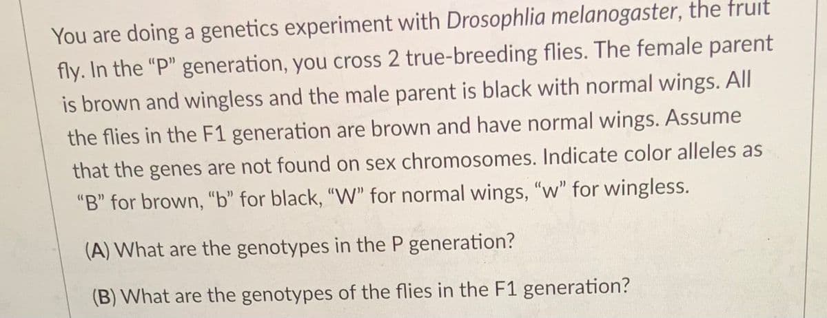 You are doing a genetics experiment with Drosophlia melanogaster, the fruit
fly. In the "P" generation, you cross 2 true-breeding flies. The female parent
is brown and wingless and the male parent is black with normal wings. All
the flies in the F1 generation are brown and have normal wings. Assume
that the genes are not found on sex chromosomes. Indicate color alleles as
"B" for brown, "b" for black, "W" for normal wings, "w" for wingless.
(A) What are the genotypes in the P generation?
(B) What are the genotypes of the flies in the F1 generation?
