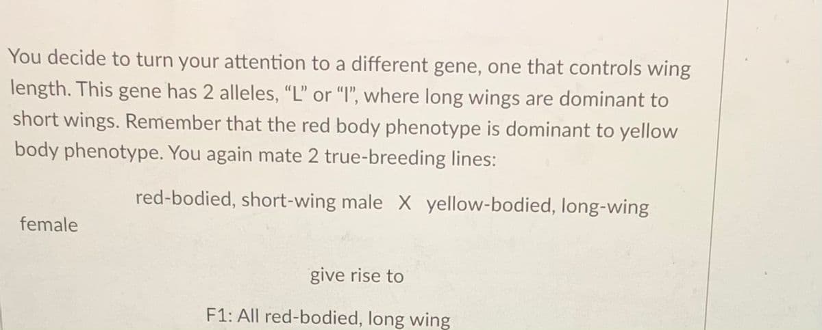 You decide to turn your attention to a different gene, one that controls wing
length. This gene has 2 alleles, "L" or "I", where long wings are dominant to
short wings. Remember that the red body phenotype is dominant to yellow
body phenotype. You again mate 2 true-breeding lines:
red-bodied, short-wing male X yellow-bodied, long-wing
female
give rise to
F1: All red-bodied, long wing

