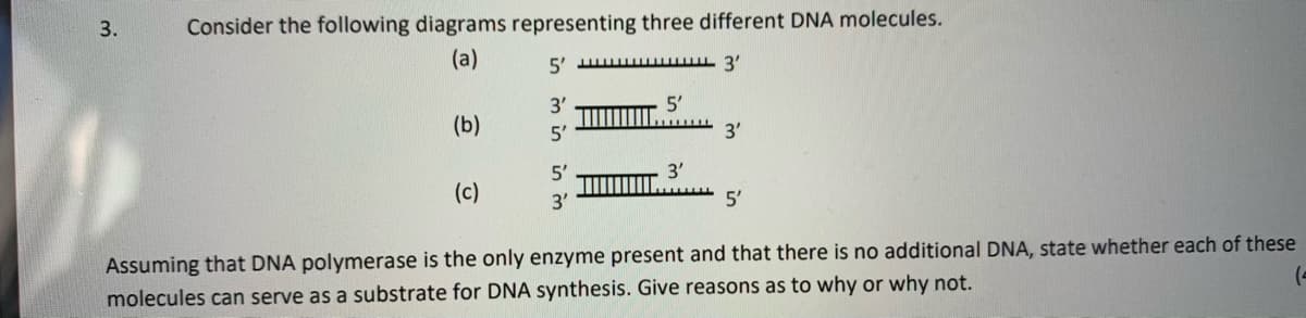 3.
Consider the following diagrams representing three different DNA molecules.
(a)
5' 3
3'
5'
(b)
5'
3'
5'
(c)
3'
5'
Assuming that DNA polymerase is the only enzyme present and that there is no additional DNA, state whether each of these
(=
molecules can serve as a substrate for DNA synthesis. Give reasons as to why or why not.
