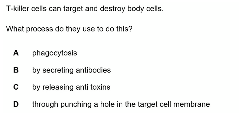 T-killer cells can target and destroy body cells.
What process do they use to do this?
A
B
с
D
phagocytosis
by secreting antibodies
by releasing anti toxins
through punching a hole in the target cell membrane