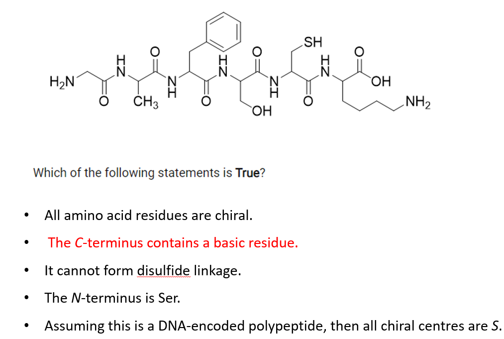 H₂N
CH3
ZI
O
OH
Which of the following statements is True?
SH
ZI
O
OH
NH₂
All amino acid residues are chiral.
The C-terminus contains a basic residue.
It cannot form disulfide linkage.
The N-terminus is Ser.
Assuming this is a DNA-encoded polypeptide, then all chiral centres are S.