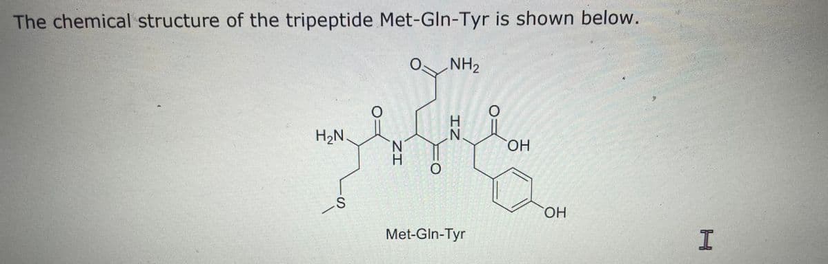 The chemical structure of the tripeptide Met-Gln-Tyr is shown below.
NH2
H.
H2N
HO.
HO.
Met-GIn-Tyr
