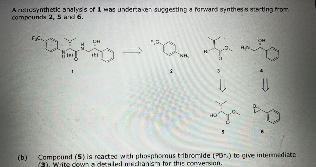 A retrosynthetic analysis of 1 was undertaken suggesting a forward synthesis starting from
compounds 2, 5 and 6.
OH
F3C
F3C.
H2N
Br
A (a)
(b)
NH2
1
HO
6.
(b)
Compound (5) is reacted with phosphorous tribromide (PBR3) to give intermediate
(3), Write down a detailed mechanism for this conversion.
21
