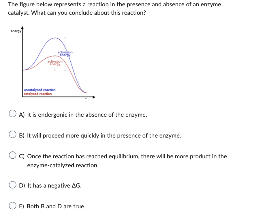 The figure below represents a reaction in the presence and absence of an enzyme
catalyst. What can you conclude about this reaction?
energy
activation
energy
activation
energy
1
uncatalysed reaction
catalysed reaction
A) It is endergonic in the absence of the enzyme.
B) It will proceed more quickly in the presence of the enzyme.
C) Once the reaction has reached equilibrium, there will be more product in the
enzyme-catalyzed reaction.
D) It has a negative AG.
OE) Both B and D are true