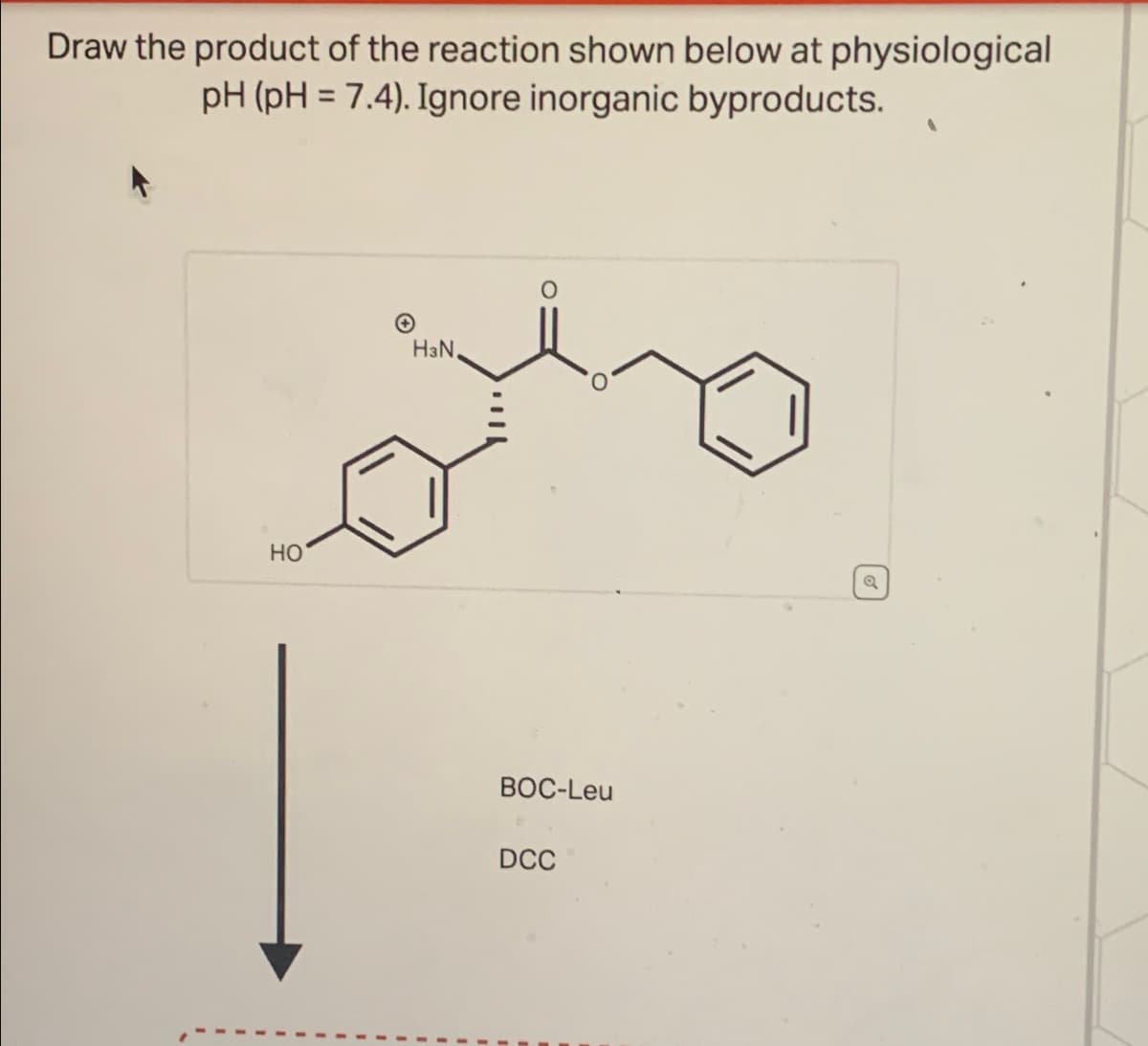 Draw the product of the reaction shown below at physiological
pH (pH 7.4). Ignore inorganic byproducts.
HO
H3N,
BOC-Leu
DCC
a