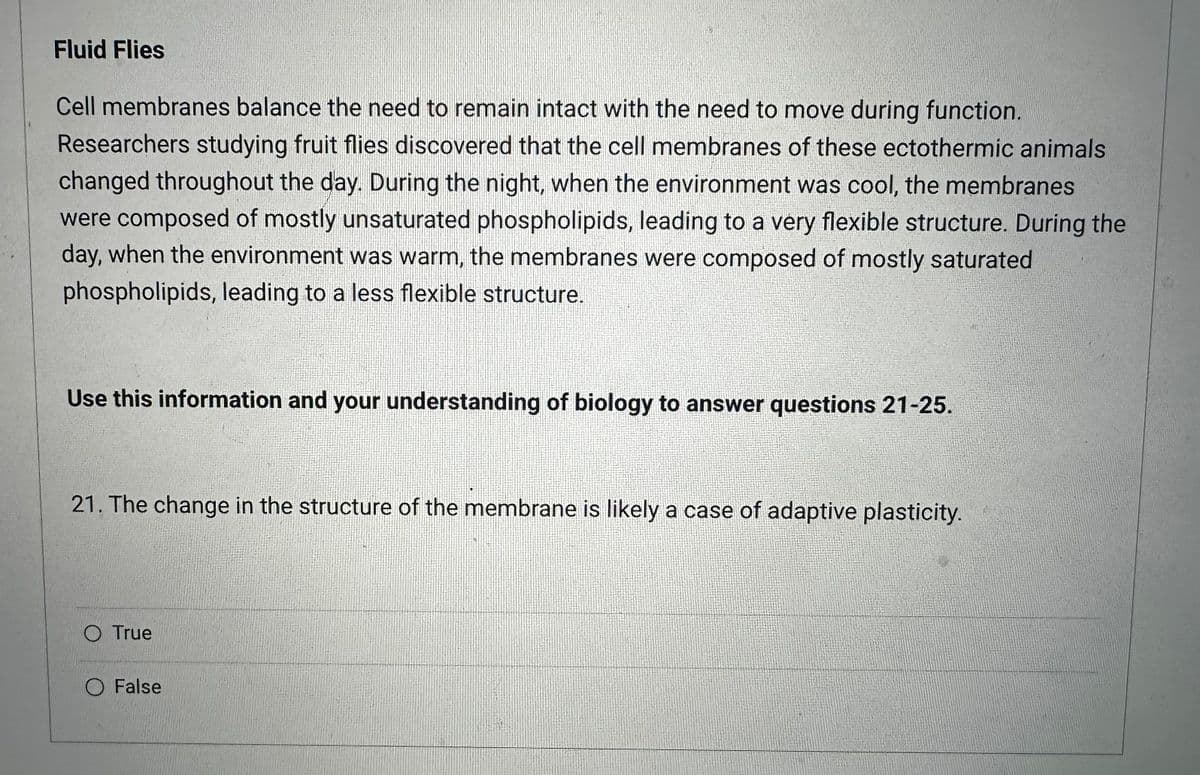 Fluid Flies
Cell membranes balance the need to remain intact with the need to move during function.
Researchers studying fruit flies discovered that the cell membranes of these ectothermic animals
changed throughout the day. During the night, when the environment was cool, the membranes
were composed of mostly unsaturated phospholipids, leading to a very flexible structure. During the
day, when the environment was warm, the membranes were composed of mostly saturated
phospholipids, leading to a less flexible structure.
Use this information and your understanding of biology to answer questions 21-25.
21. The change in the structure of the membrane is likely a case of adaptive plasticity.
O True
O False