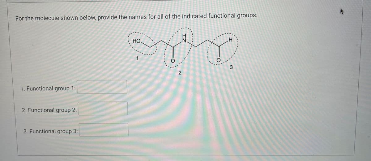 For the molecule shown below, provide the names for all of the indicated functional groups:
H
HO.
Bry
1
O
3
2
1. Functional group 1:
2. Functional group 2:
3. Functional group 3: