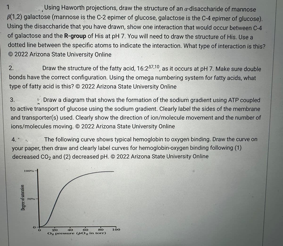 1
Using Haworth projections, draw the structure of an a-disaccharide of mannose
B(1,2) galactose (mannose is the C-2 epimer of glucose, galactose is the C-4 epimer of glucose).
Using the disaccharide that you have drawn, show one interaction that would occur between C-4
of galactose and the R-group of His at pH 7. You will need to draw the structure of His. Use a
dotted line between the specific atoms to indicate the interaction. What type of interaction is this?
O 2022 Arizona State University Online
2.
Draw the structure of the fatty acid, 16:247,10, as it occurs at pH 7. Make sure double
bonds have the correct configuration. Using the omega numbering system for fatty acids, what
type of fatty acid is this? © 2022 Arizona State University Online
3.
Draw a diagram that shows the formation of the sodium gradient using ATP coupled
to active transport of glucose using the sodium gradient. Clearly label the sides of the membrane
and transporter(s) used. Clearly show the direction of ion/molecule movement and the number of
ions/molecules moving. O 2022 Arizona State University Online
4.1
The following curve shows typical hemoglobin to oxygen binding. Draw the curve on
your paper, then draw and clearly label curves for hemoglobin-oxygen binding following (1)
decreased CO2 and (2) decreased pH. O 2022 Arizona State University Online
V
30%
20
100%
Degree of saturation
60
80
Og pressure (pOg in torr)
40
100