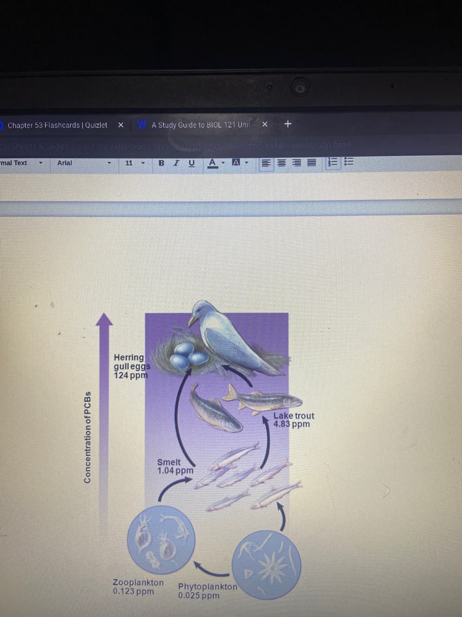 Chapter 53 Flashcards | Quizlet X W A Study Guide to BIOL 121 Unit x +
es, Sheets & Slides chrome-extension /bpmcn/kladm gpchkicefoigmkfalc/views/app.html
mal Text Y
Arial
11 ▼ BIU
Concentration of PCBs
▼
Herring
gulleggs
124 ppm
Smelt
1.04 ppm
A
Zooplankton Phytoplankton
0.123 ppm
0.025 ppm
Lake trout
4.83 ppm
EE