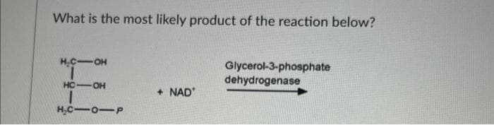 What is the most likely product of the reaction below?
H₂C1OH
7
HC OH
1
H₂C10-P
+ NAD
Glycerol-3-phosphate
dehydrogenase