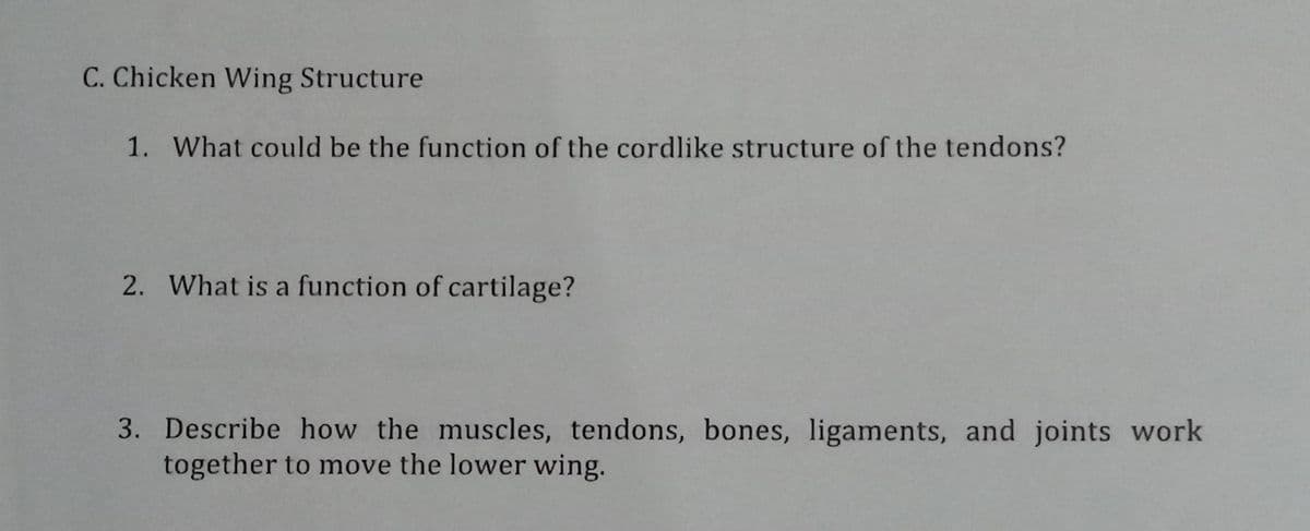C. Chicken Wing Structure
1. What could be the function of the cordlike structure of the tendons?
2. What is a function of cartilage?
3. Describe how the muscles, tendons, bones, ligaments, and joints work
together to move the lower wing.