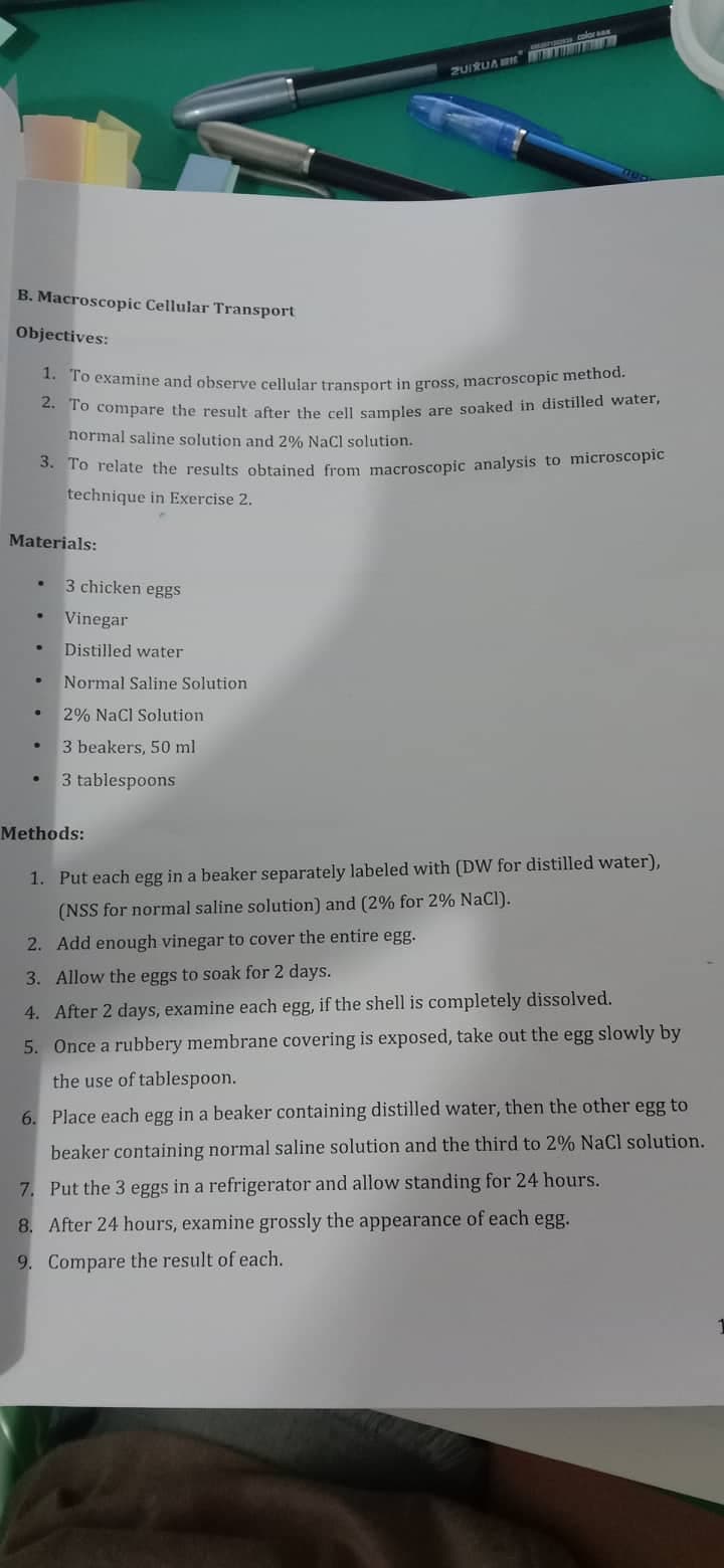 B. Macroscopic Cellular Transport
Objectives:
1. To examine and observe cellular transport in gross, macroscopic method.
2. To compare the result after the cell samples are soaked in distilled water,
normal saline solution and 2% NaCl solution.
3. To relate the results obtained from macroscopic analysis to microscopic
technique in Exercise 2.
Materials:
.
●
3 chicken eggs
Vinegar
Distilled water
Normal Saline Solution
ZUIRUA
2% NaCl Solution.
3 beakers, 50 ml
3 tablespoons
Methods:
1. Put each egg in a beaker separately labeled with (DW for distilled water),
(NSS for normal saline solution) and (2% for 2% NaCl).
2. Add enough vinegar to cover the entire egg.
3. Allow the eggs to soak for 2 days.
4. After 2 days, examine each egg, if the shell is completely dissolved.
5. Once a rubbery membrane covering is exposed, take out the egg slowly by
the use of tablespoon.
6. Place each egg in a beaker containing distilled water, then the other egg to
beaker containing normal saline solution and the third to 2% NaCl solution.
7. Put the 3 eggs in a refrigerator and allow standing for 24 hours.
8. After 24 hours, examine grossly the appearance of each egg.
9. Compare the result of each.