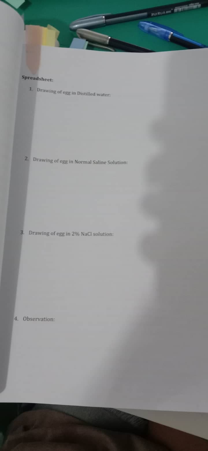 Spreadsheet:
1. Drawing of egg in Distilled water:
2. Drawing of egg in Normal Saline Solution:
3. Drawing of egg in 2% NaCl solution:
4. Observation:
ZUIRUA ON