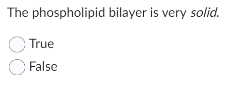 The phospholipid bilayer is very solid.
True
False