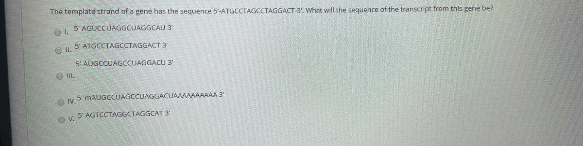 The template strand of a gene has the sequence 5'-ATGCCTAGCCTAGGACT-3'. What will the sequence of the transcript from this gene be?
5' AGUCCUAGGCUAGGCAU 3
5 ATGCCTAGCCTAGGACT 3'
5 AUGCCUAGCCUAGGACU 3'
5' MAUGCCUAGCCUAGGACUAAAAAAAAAA 3"
5' AGTCCTAGGCTAGGCAT 3"
V.

