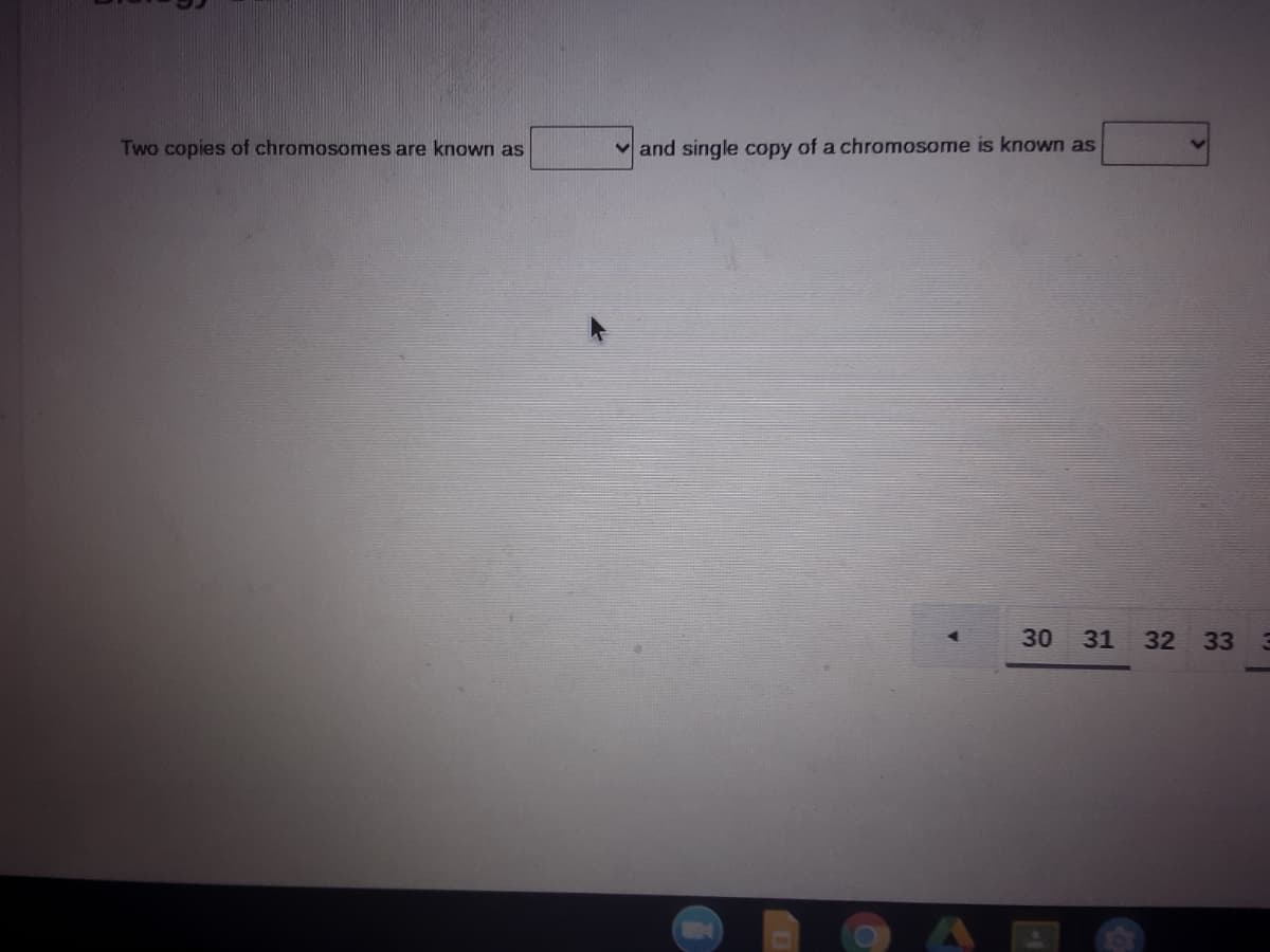 v and single copy of a chromosome is known as
Two copies of chromosomes are known as
30
31
32 33
