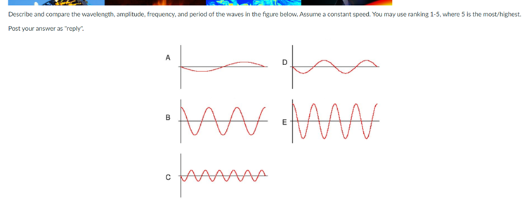Describe and compare the wavelength, amplitude, frequency, and period of the waves in the figure below. Assume a constant speed. You may use ranking 1-5, where 5 is the most/highest.
Post your answer as "reply".
A
B
