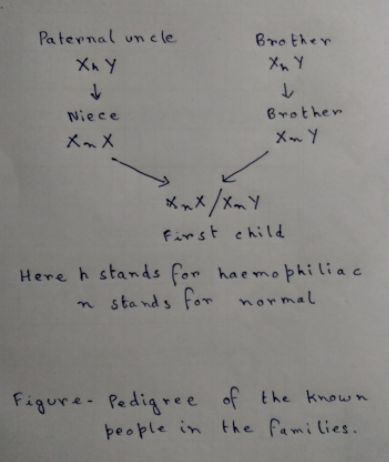 Paternal un cle
Brother
Xn Y
し
Niece
Brother
メーメ
メーY
メッx/xmY
First child
Here h stands for haemophiliac
sta nds for normal
the know n
Figure- Pedigree of
people in the fami lies.
