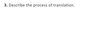3. Describe the process of translation.