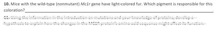 10. Mice with the wild-type (nonmutant) Mc1r gene have light-colored fur. Which pigment is responsible for this
coloration?
11. Using the information in the introduction on mutations and your knowledge of proteins, develop a
hypothesis to explain how the changes in the MC10 protein's amino acid sequence might affect its funct