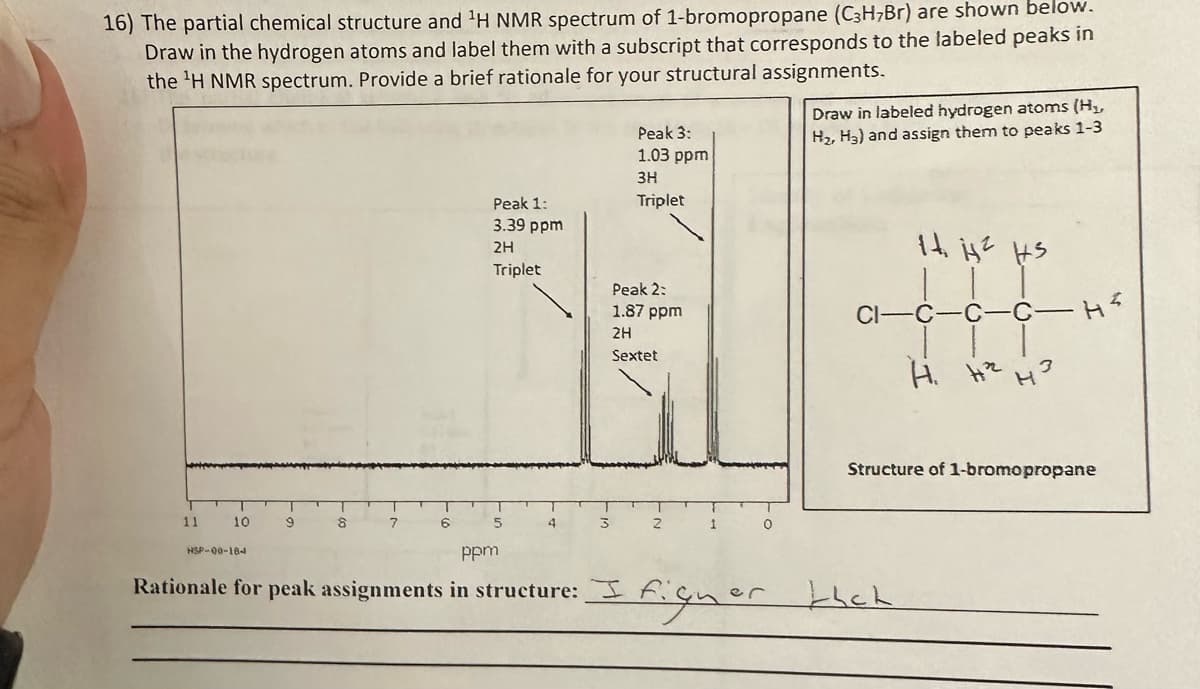 16) The partial chemical structure and ¹H NMR spectrum of 1-bromopropane (C3H/Br) are shown below.
Draw in the hydrogen atoms and label them with a subscript that corresponds to the labeled peaks in
the ¹H NMR spectrum. Provide a brief rationale for your structural assignments.
11
10
NSP-00-184
T
9
8
7
6
Peak 1:
3.39 ppm
2H
Triplet
5
4
3
Peak 3:
1.03 ppm
3H
Triplet
Peak 2:
1.87 ppm
2H
Sextet
ppm
Rationale for peak assignments in structure: I
2
1
0
Draw in labeled hydrogen atoms (H₂,
H₂, H₂) and assign them to peaks 1-3
CI-
14.
: I figner that
%
H. H₂
HS
- H²
Structure of 1-bromopropane