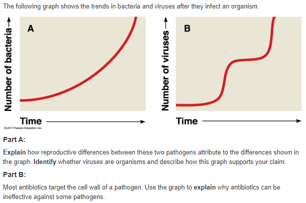 The following graph shows the trends in bacteria and viruses after they infect an organism.
A
B
Time
Time
02017 Panon Eacatn, ine.
Part A:
Explain how reproductive differences between these two pathogens attribute to the differences shown in
the graph. Identify whether viruses are organisms and describe how this graph supports your claim.
Part B:
Most antibiotics target the cell wall of a pathogen. Use the graph to explain why antibiotics can be
ineffective against some pathogens.
Number of bacteria-
Number of viruses →
