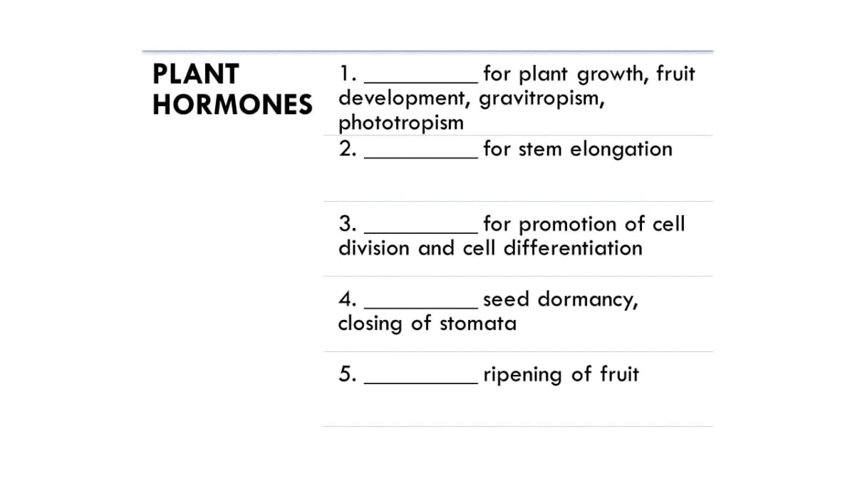 PLANT
1.
for plant growth, fruit
HORMONES development, gravitropism,
phototropism
2.
for stem elongation
3.
for promotion of cell
division and cell differentiation
4.
seed dormancy,
closing of stomata
5.
ripening of fruit
