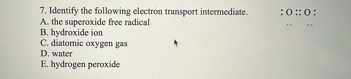 7. Identify the following electron transport intermediate.
A. the superoxide free radical
B. hydroxide ion
C. diatomic oxygen gas
D. water
E. hydrogen peroxide
:O:O: