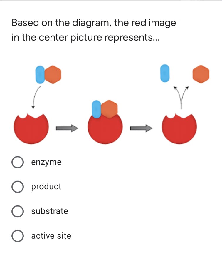 Based on the diagram, the red image
in the center picture represents...
→
O enzyme
O product
O substrate
O active site